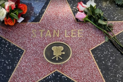 Stan Lee star