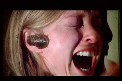 Cockroach_Ear_Bug_1975