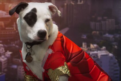 Avengers Endgame Puppies