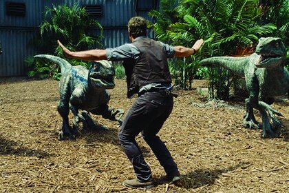 Chris Pratt and his raptors in Jurassic World
