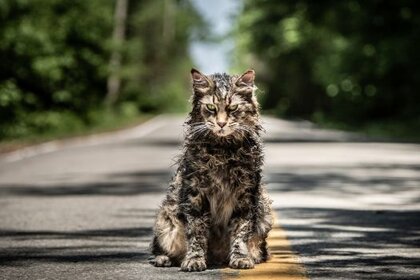 Pet Sematary cat, Church