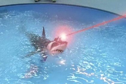 sharks with laser beams
