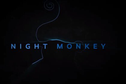 Night Monkey poster