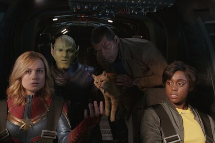 Captain Marvel in the Cockpit with Goose
