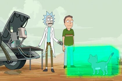 Rick and Morty Season 4 Broderick cat