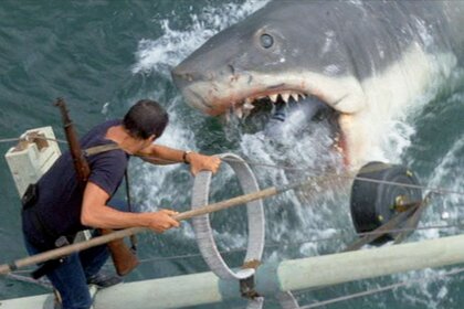 Jaws