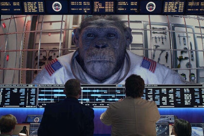 space force chimp