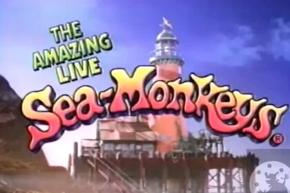 amazing-live-sea-monkeys
