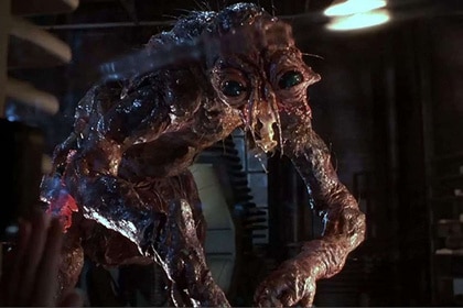 The Fly