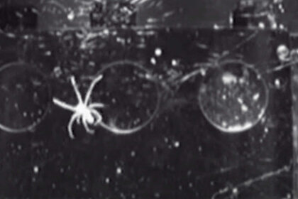 spider spinning its web in space