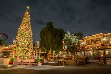 Christmas tree at Knott's Berry Farm theme park