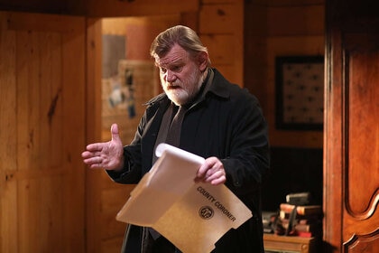Brendan Gleeson Mr. Mercedes
