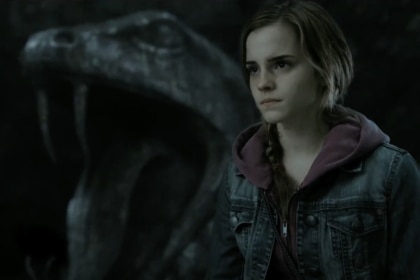 Hermoine Harry Potter and The Deathly Hallows Pt. 2