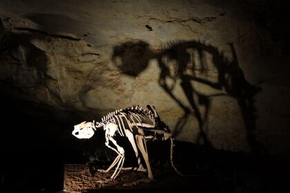 Liz Victoria Fossil Cave GETTY