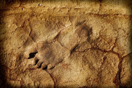 Liz Human Footprint Fossil GETTY
