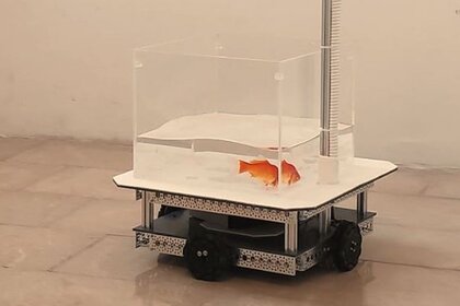 Cassidy Goldfish Driving Robot PRESS