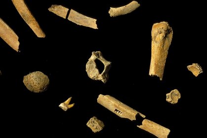 Liz Neanderthal Bones GETTY