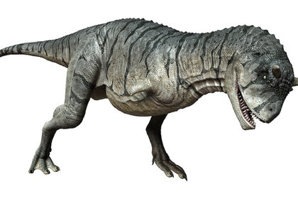 Liz Carnotaurus Sastrei dinosaur GETTY