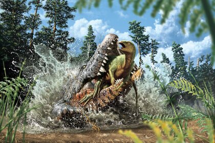 Liz Cretaceous croc