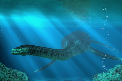 3D rendering of a Styxosaurus