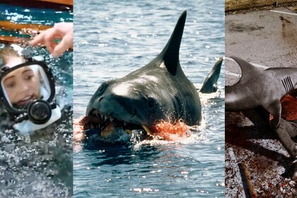 47 Meters Down (2017); Jaws (1975); Sharknado (2013)