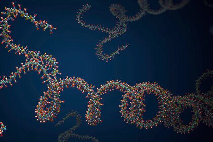 Art depicting a strand of RNA