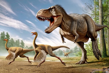 Tyrannosaurus Rex attacking two Struthiomimus dinosaurs.