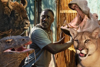 Idris Elba as Dr. Nate Samuels in Beast (2022) surrounded by a Bison, Komodo Dragon, Hippopotamus, and Mountain Lion.