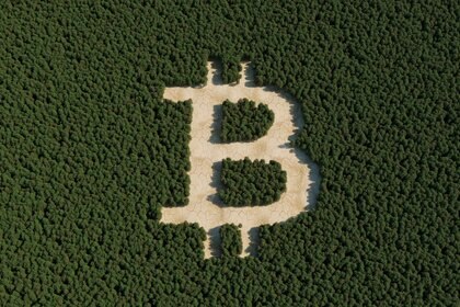 Bitcoin Sign In Forest