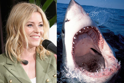 Elizabeth Banks; Great White Shark
