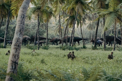 Primitive War header