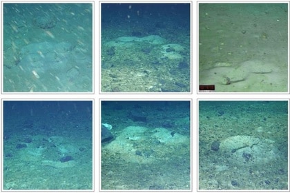 Ice Fish Nests