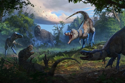Nanotyrannus Final HalfSize