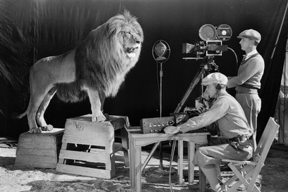 MGM lion GETTY header