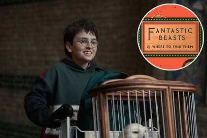 Harry Potter HBO Fantastic Beasts inset header