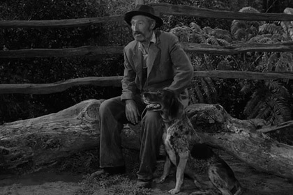 Twilight Zone The Hunt header
