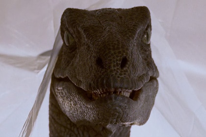 Jurassic Park Velociraptor header