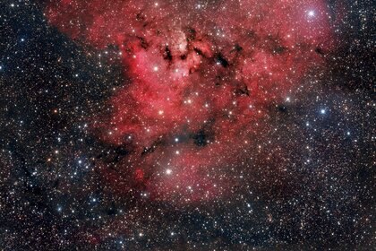 NGC 7822, aka The Question Mark Nebula. Credit: Adam Block /Steward Observatory/University of Arizona