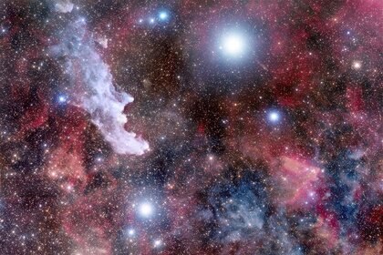 Rigel (top center) is the brightest star in Orion, but in this very deep exposure there is a lot more to see. Credit: Adam Block /Steward Observatory/University of Arizona
