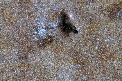 A subsection of the survey image (near the center top) shows stars in a cluster near a dense pocket of opaque interstellar dust.