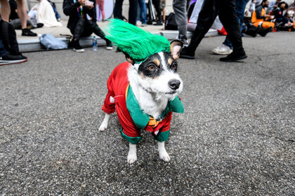 Joker cosplay 11