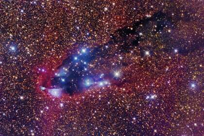 The cometary globule called the Dark Tower, a dark nebula being blasted by radiation from a nearby star cluster. Credit: Robert Gendler