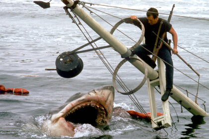 Roy Scheider in Jaws