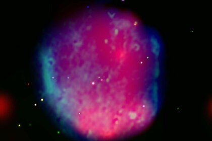 A composite of Hoinga in X-rays (magenta) and radio (blue). Extremely hot gas filling the remnant emits X-rays, while electrons whizzing around magnetic fields at the edge of the shell structure generate radio waves. 