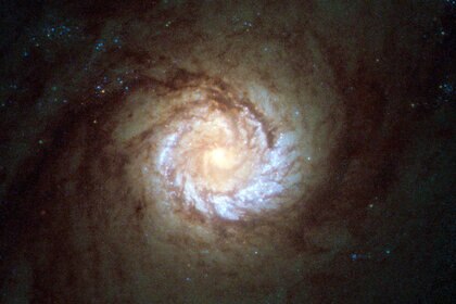 The center of the galaxy M61 shows the spiral pattern goes right down to the core. Credit: ESA/Hubble & NASA, Acknowledgement: Det58