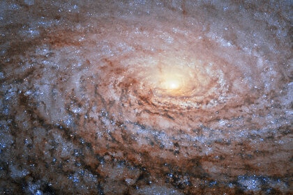 The inner regions of the nearby spiral galaxy M63 show patchy flocculence all the way into the center. Credit: ESA/Hubble & NASA