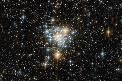 The Sun may have been born in an open cluster, a loose collection of stars that has since dissipated, scattering the stars. This image shows NGC 299, an open cluster in a satellite galaxy to our Milky Way. Credit: ESA/Hubble & NASA