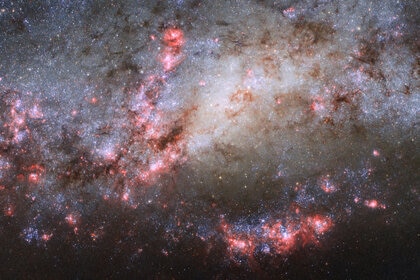 NGC 4490, a galaxy bursting with star formation after a recent close encounter with a smaller galaxy. Credit: ESA/Hubble & NASA Acknowledgements: D. Calzetti (UMass) and the LEGUS Team, J. Maund (University of Sheffield), and R. Chandar (University of To