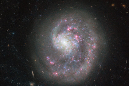 NGC 4625, a relatively nearby dwarf spiral galaxy with an asymmetric spiral structure. Credit: ESA/Hubble & NASA