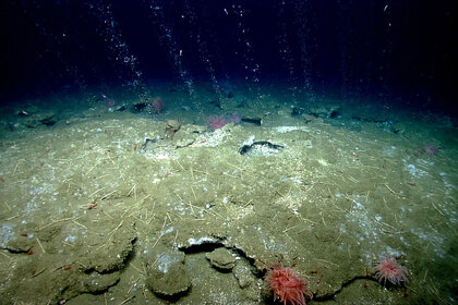 Methane bubbles up from sediment off the Virginia coastline in the US. Credit: NOAA OKEANOS Explorer Program, 2013 ROV Shakedown and Field Trials